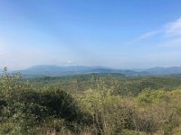 Sortie hauts cantons (22)